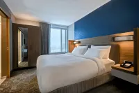 阿爾伯克基大學區萬豪SpringHill Suites飯店