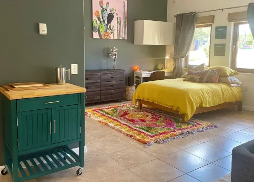 Chic Studio Apartment near Downtown and Shopping