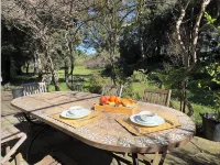 Grande Maison de Caractère en Plein Coeur de la Provence