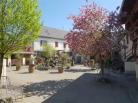 Dream vacation apartment on an idyllic farm near Eltz Castle Hotels in Munstermaifeld
