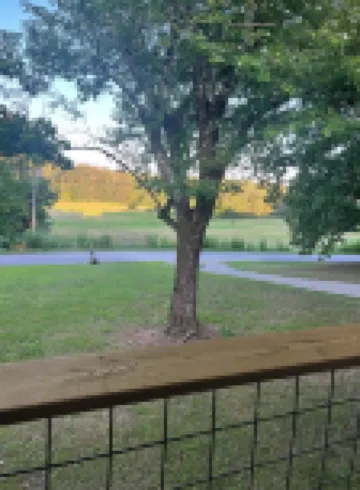 Newly renovated, conveniently located between Nashville and Chattanooga