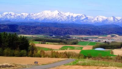 ホテル周辺 富良野リゾートホテル エーデルヴェルメの写真