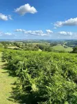 Stylish & Rural - 3 Bedroom Country Cottage