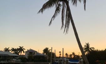 Beautiful waterfront home with big, private pool close to Tigertail Beach.