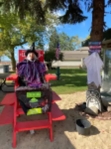 Beach House in Caseville Center walking distance to Everything