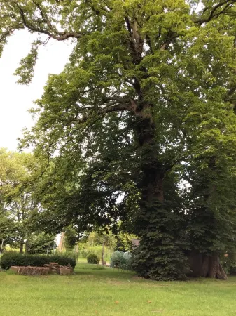 Spacious Vacation Apartment in a Country House on the Jade Bay North Sea