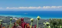 ON TOP OF THE WORLD Garden StudioPanoramic Ocean Views, Close to Town & Beaches