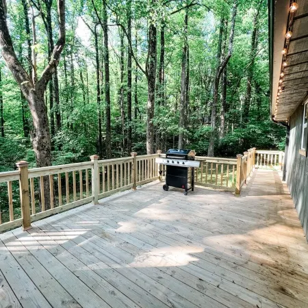 Get Cozy & take in the beauty of Groundhog Mountain @ the Cozy Doe! Отели в г. Патрик