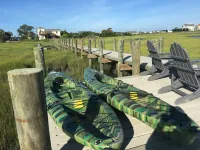 Kayaker and Bird Watchers Dream: Freshly Renovated with Breathtaking Views