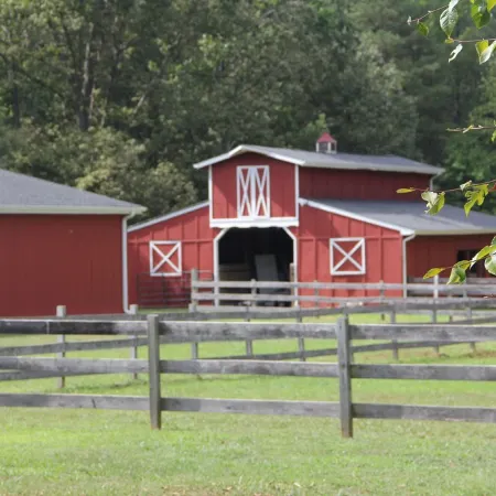 32-Acre Retreat , Pool, Hot Tub, Theatre, Fire Pit, Games, Sleeps 10
