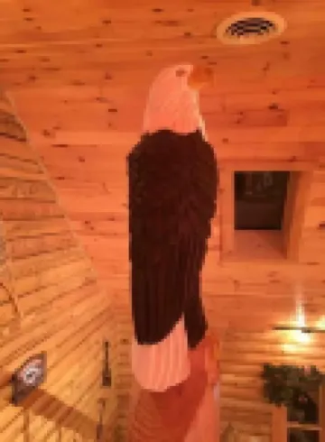 Cabin 8 miles to Pine Creek  Pa. Minutes to  ATV and snow mobile trail and Hyner