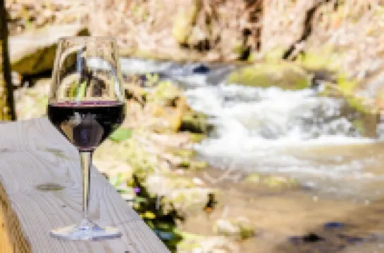 "UNWIND BY THE WATER'S EDGE" Beautiful 2/1 Cabin w/ Hot Tub on Roaring Creek!