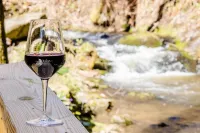 "UNWIND BY THE WATER'S EDGE" Beautiful 2/1 Cabin w/ Hot Tub on Roaring Creek!