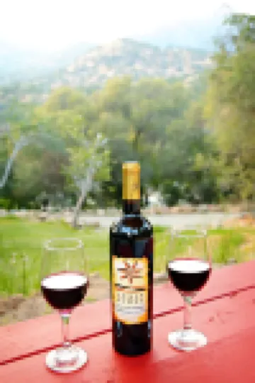 Ash Mountain Suite 1 mile to Sequoia Natl Park!