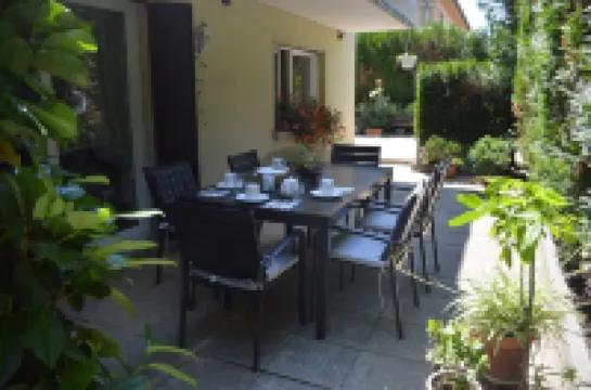 Colmar small garden of the semm 6 to 10 people, parking 4 private cars and iron