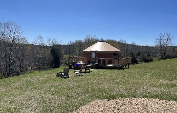 Pet friendly glamping in a private yurt with stunning 360° views by Forest