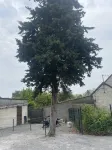 Maison "Le Grand Sapin" Hoteles cerca de Zoo Parc de Beauval