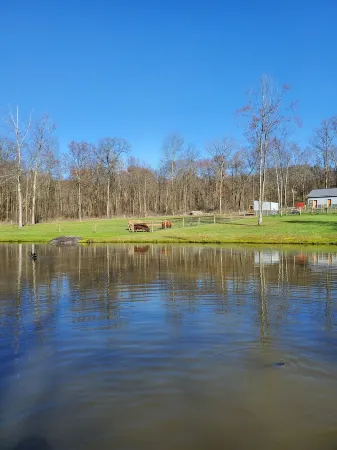 Farm Stay -Hideaway Haven Farm Отели в г. Кларион Каунти