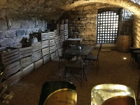 Apartment in 12th Century Chateau de Boussagues