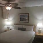 Whale Watching from Your Lanai—Beautiful Oceanfront Escape! No Resort Fee! Отели рядом с достопримечательностью «Залив Хонолуа»