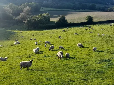 Cozy country cottage in National Park Отели в г. Гетр Фор