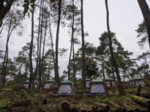 Great Panorama Lodge & Camp by Mhm