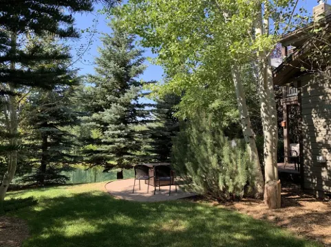 Hiking, Fishing, Biking, Skiing all within the valley 30 min from Jackson Hole