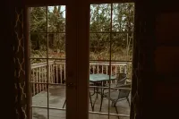 Cozy Cabin+Dogs Welcome+Hurricane Ridge+Olympic National Park