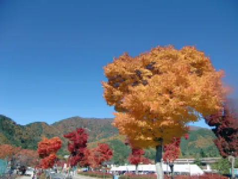 ペンションブルーポピー