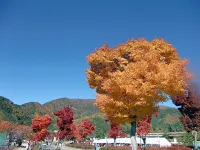 펜션 블루 포피