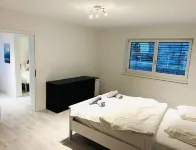 Big House for 10 People Hotels in Bottmingen