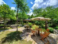 Oyado Nozawa Hotels in 