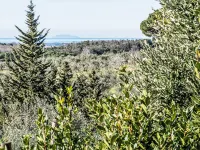 Tramontina - 3 stelle