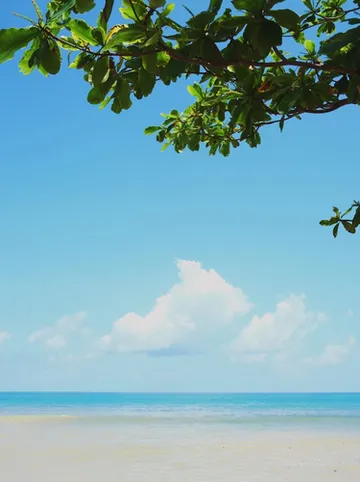 รูปภาพของลันตาเมอร์เมด บูติคเฮ้าส์