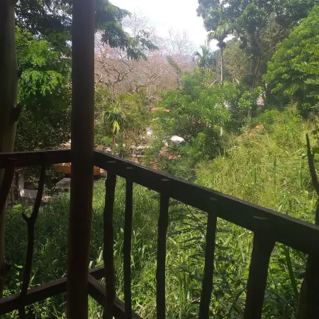 Ella Nature Nest