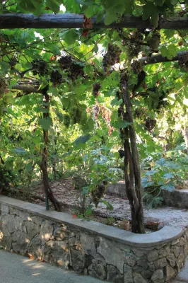 B&B Il Grappolo Hotels in Anacapri