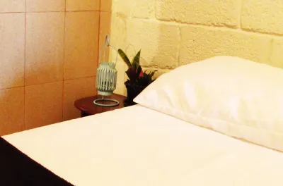 Buena Vista Hostel Hotel a 