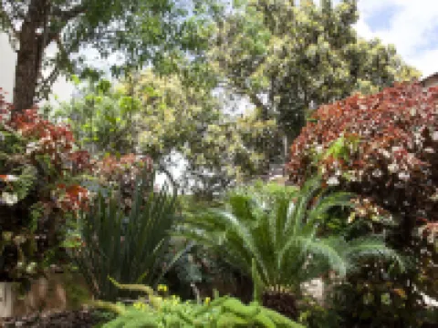 Nava Suites Hotels in La Laguna
