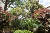 Nava Suites