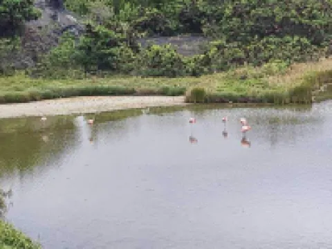 Hostal Neptuno - Poseidon Hoteles en Isla Isabela