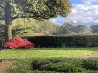 Delightful Cottage with 2 Bedrooms Near Knutsford Hotels in Toft