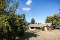 Gorgeous Hood Views and Cozy Comforts - Stunning Modern Cabin