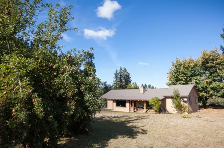 Gorgeous Hood Views and Cozy Comforts - Stunning Modern Cabin