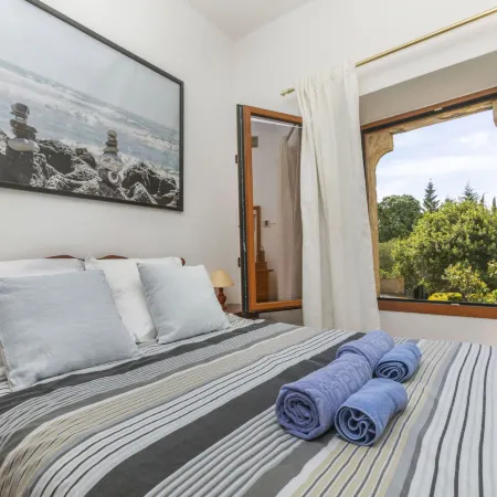 Can Magi
