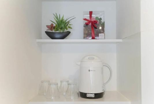 Other Dandelion Photo