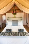B'Sorah Luxury Tent & Venue Hotels near Luvies Landing The Bird Haven