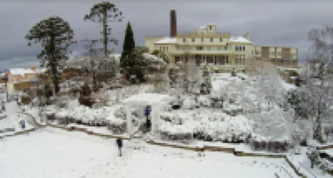 Carrington Hotel