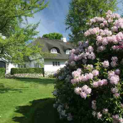 Comwell Borupgaard Hotel Exterior