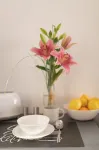 Apartment Libra