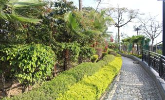 Dhauladhar Heights Resort